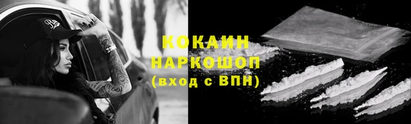 прущий лед Алзамай