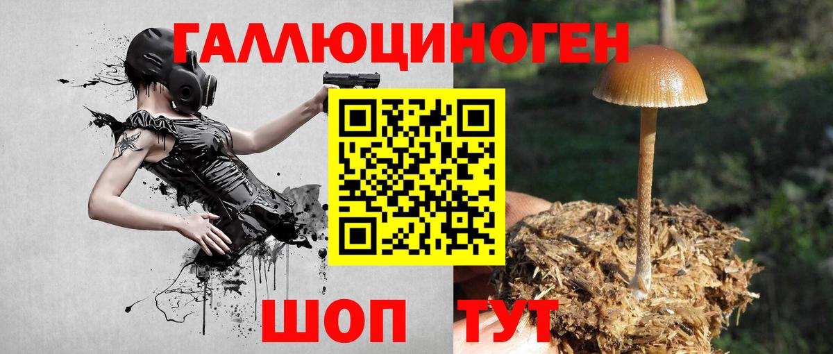 Псилоцибиновые грибы MAGIC MUSHROOMS  Галлюциногенные грибы MAGIC MUSHROOMS  Вход с VPN  наркотики  Домодедово 
